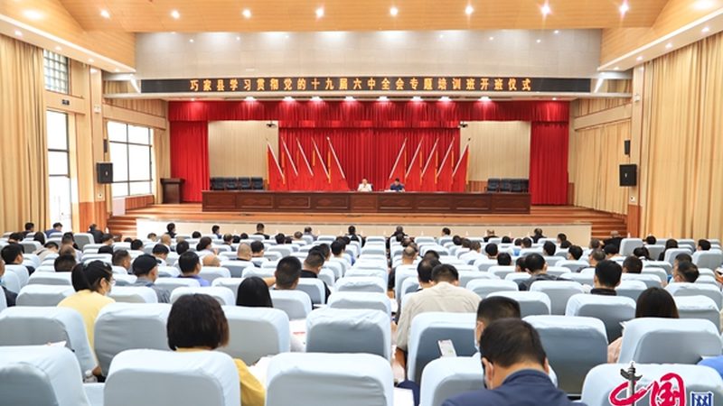在线教育，性价比的“新解