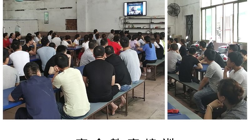 少儿编程师资认证标准